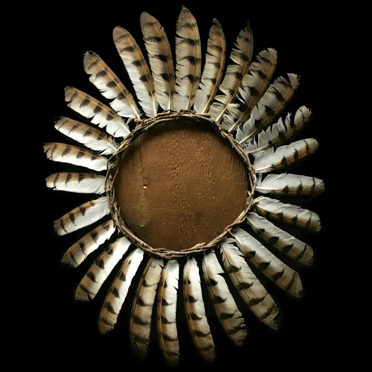 FAUNA · Avifauna | DIGISLEEVE CD (Black Metal CDs)