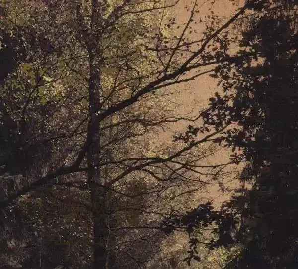 DÄMMERFARBEN · Herbstpfad | DIGIPAK CD (Black Metal CDs)