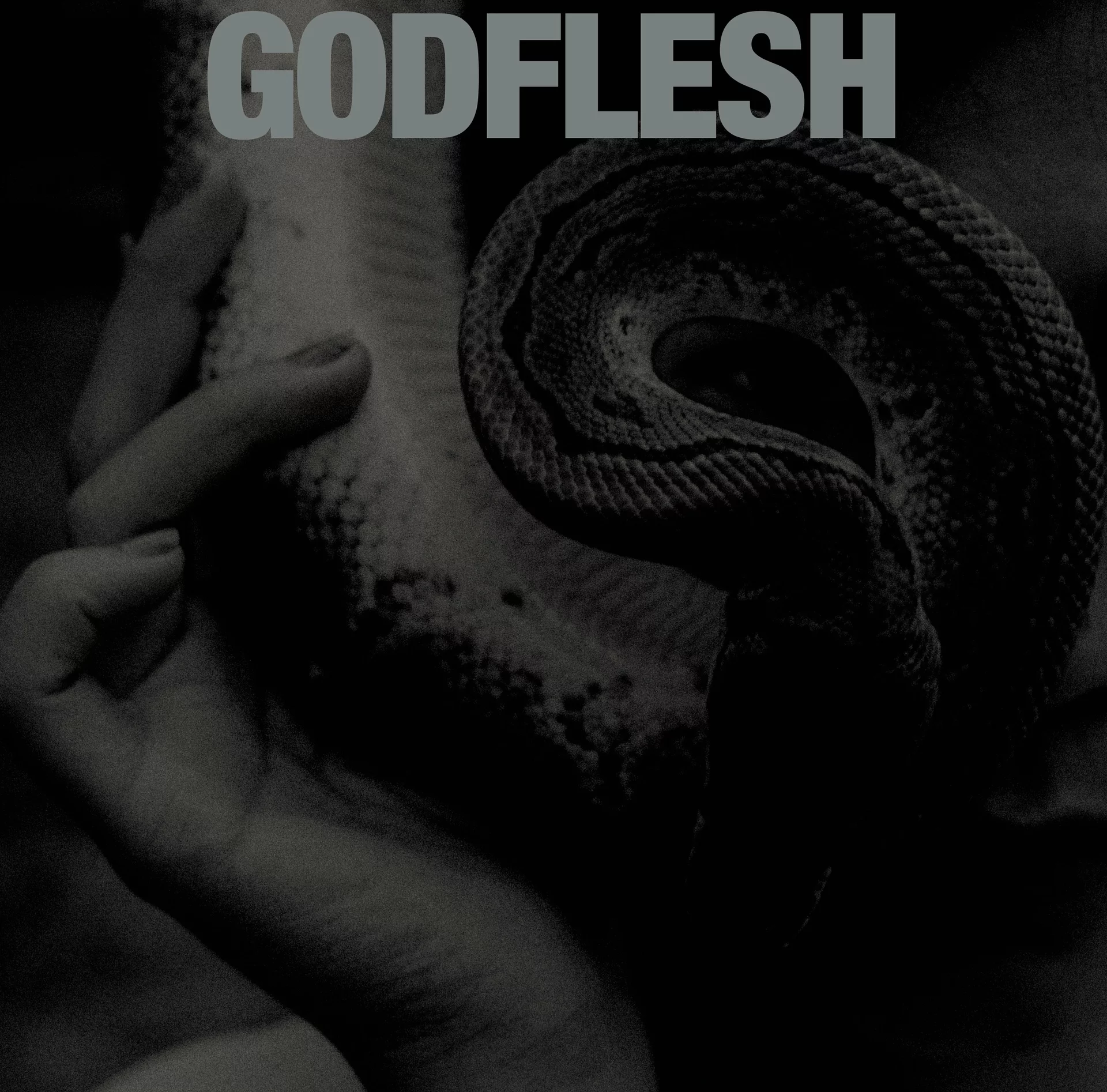 GODFLESH · Purge | SILVER LP (Sludge Vinyl) · Picture 1