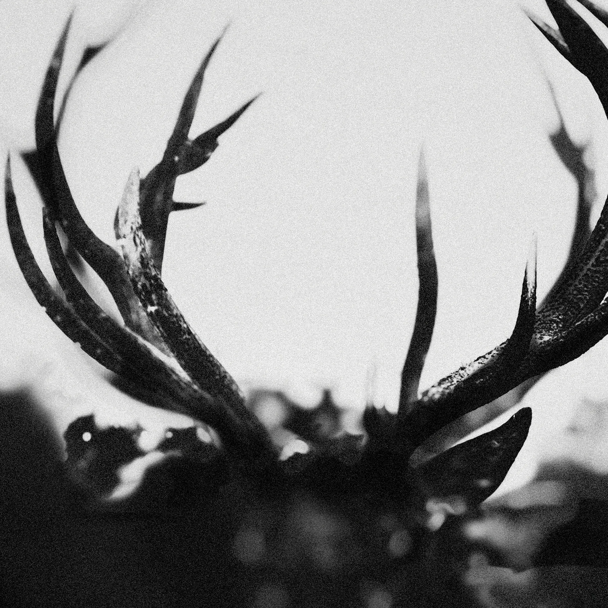 IHSAHN - Ihsahn · CD