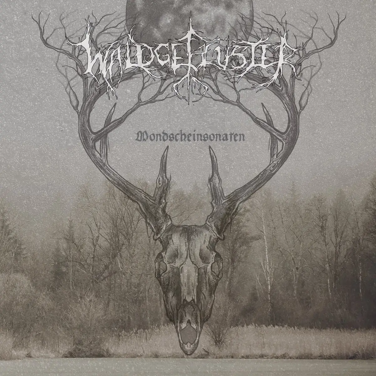 WALDGEFLÜSTER · Mondscheinsonaten | CD WALDGEFLÜSTER · Mondscheinsonaten | CD (Black Metal/Folk CDs)