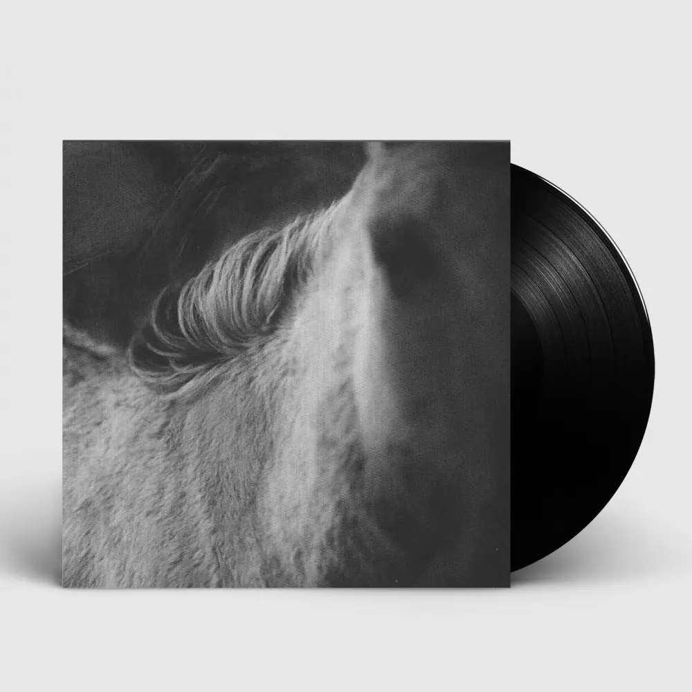 LES DISCRETS - Rue Octavio Mey / Fleur des Murailles · BLACK LP