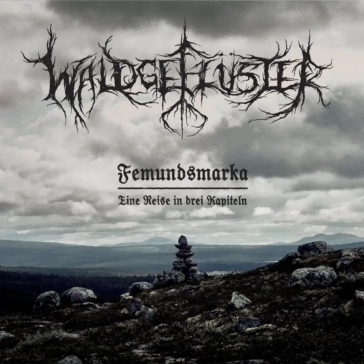 WALDGEFLÜSTER · Femundsmarka | CLEAR 2LP (Black Metal Vinyl) · Picture 1