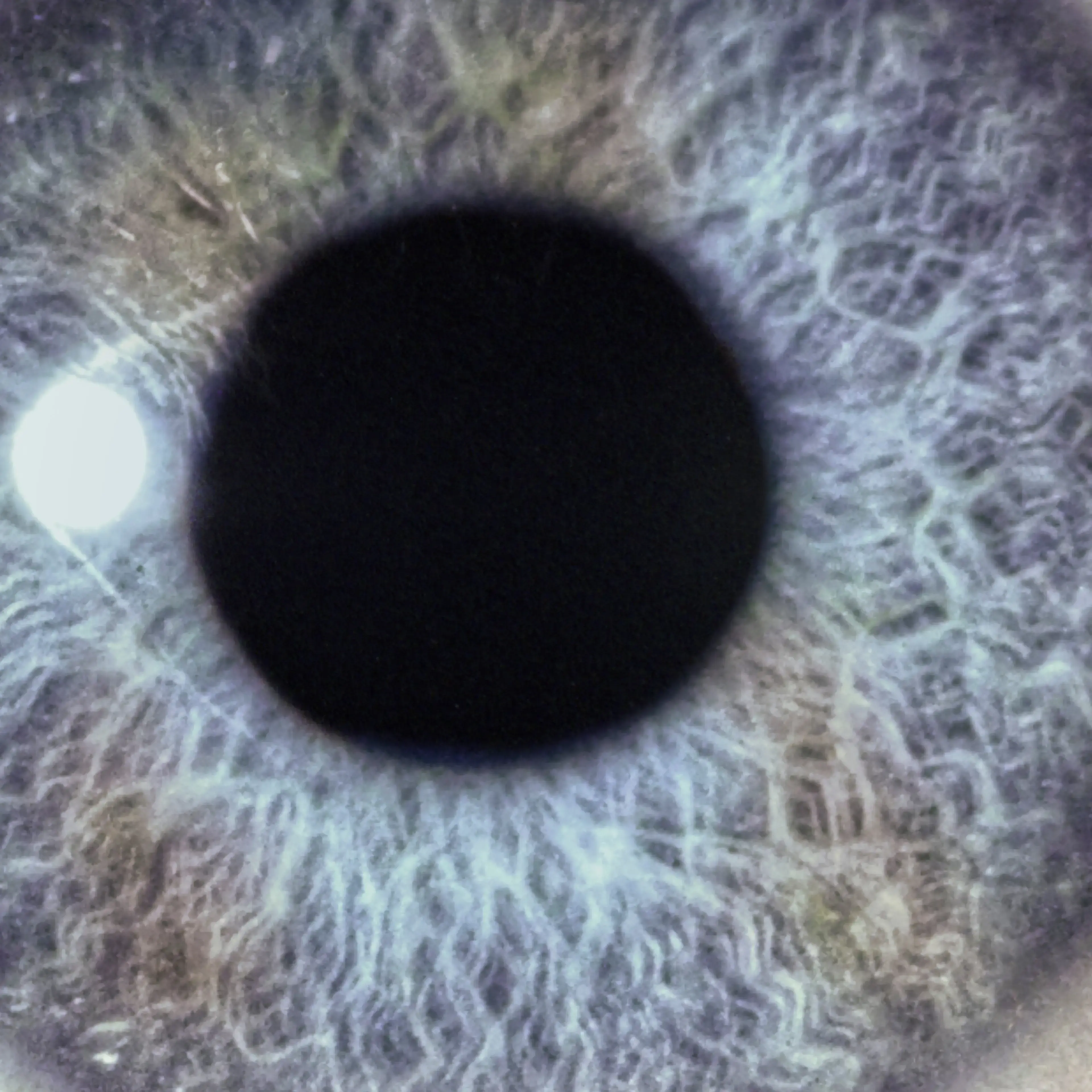 DAN SWANÖ · Moontower (Re-issue) | O-CARD 2CD (Melodic Death Metal CDs)