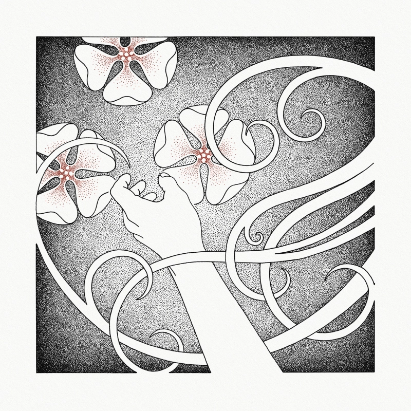 WHISPERING VOID · At The Sound Of The Heart | CRYSTAL CLEAR LP (Nordic Folk Vinyl) · Picture 1