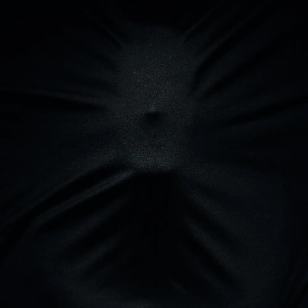 SATYRICON - Satyricon & Munch · BLACK DLP 1