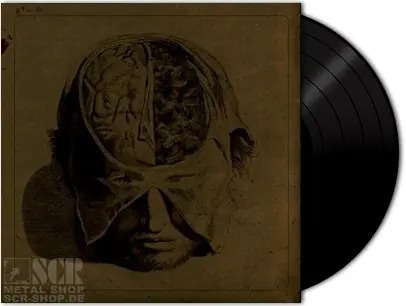 FARSOT - Insects · LTD. LP FARSOT - Insects · LTD. LP (Black Metal Vinyl)