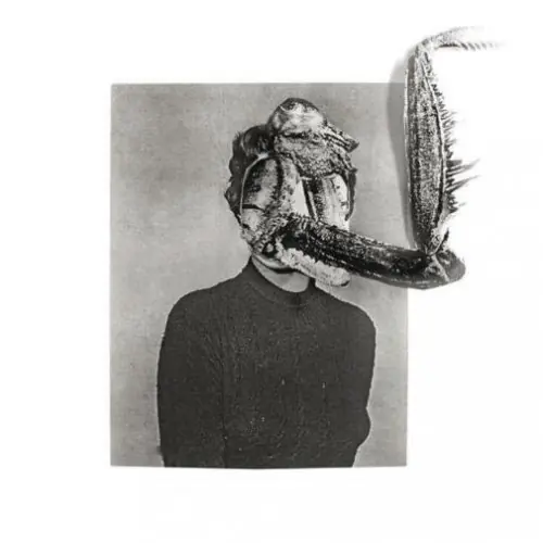 OBSIDIAN KINGDOM · Mantiis - A Agony In Fourteen Bites | CD OBSIDIAN KINGDOM · Mantiis - A Agony In Fourteen Bites | CD (Progressive Metal CDs)