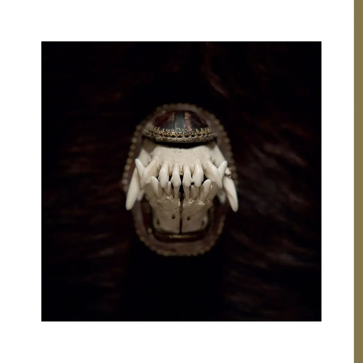 AMENRA - De Toorn · BLACK ONYX LP (Doom Metal/Post Metal/Sludge/Hardcore Vinyl) · Picture 1