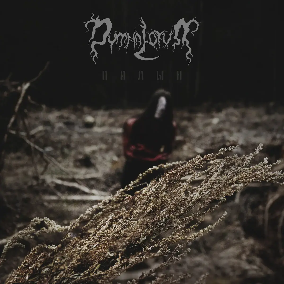 DYMNA LOTVA - Wormwood (Палын) · OXBLOOD RED LP (Nordic Black Metal Vinyl) · Picture 1