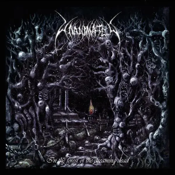 UNANIMATED · In The Forest Of The Dreaming Dead | TRANSPARENT BLUE 2LP (Death Metal Vinyl) · Picture 1