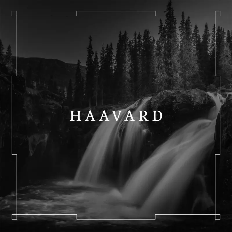 HAAVARD - Haavard · WHITE 2LP 1