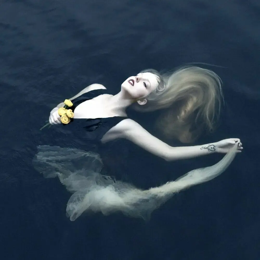 SYLVAINE · Silent Chamber, Noisy Heart | TRANSLUCENT BLUE 2LP (Hard Rock/Folk/Ambient/Post Metal Vinyl) · Picture 1