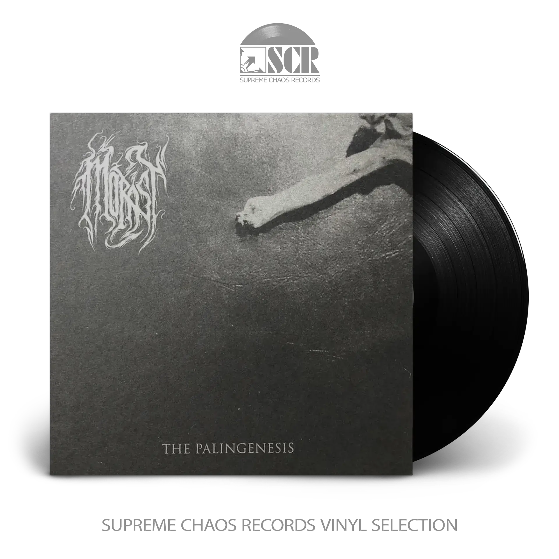 MORAST - The Palingenesis · BLACK 7" EP