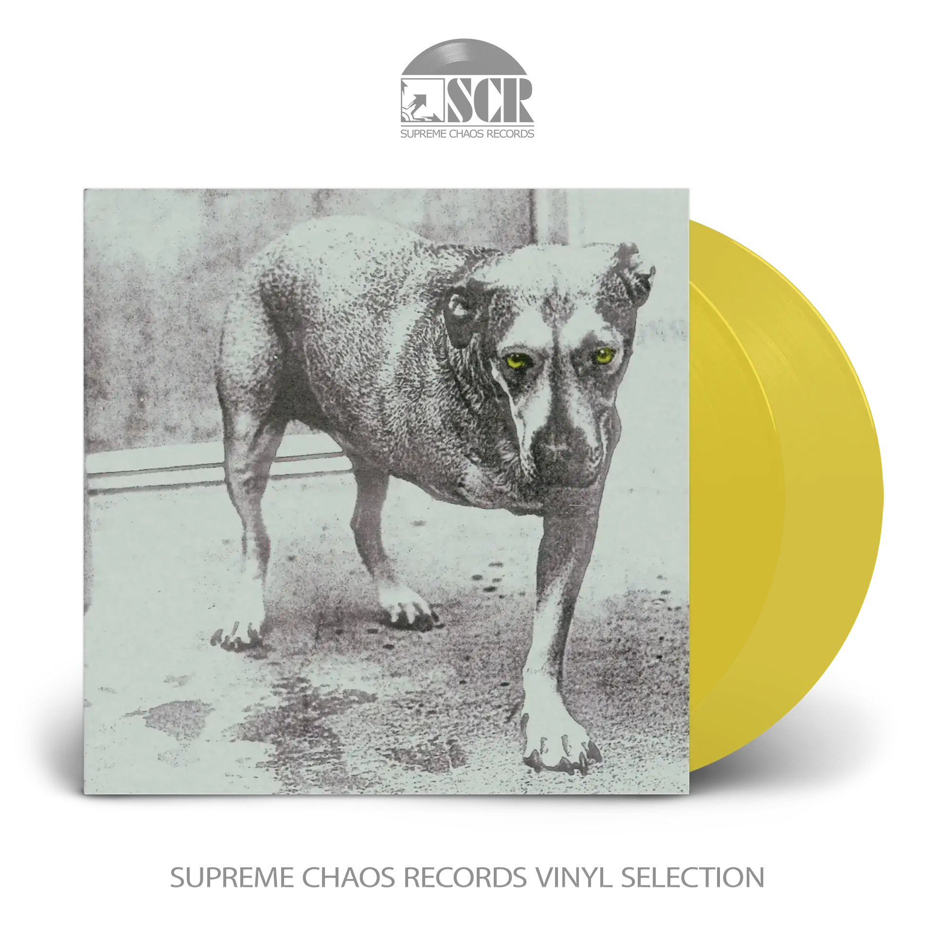ALICE IN CHAINS · Alice In Chains (30th Anniversary Edition) | YELLOW 2LP (Alternative Rock/Progressive Rock Vinyl)