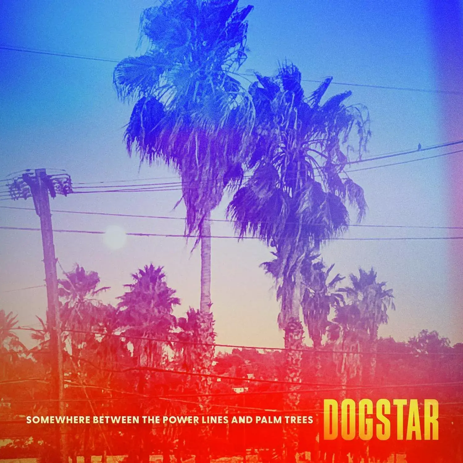DOGSTAR · Somewhere Between the Power Lines and Palm Trees | BLACK VINYL (Alternative Rock Vinyl) · Picture 1