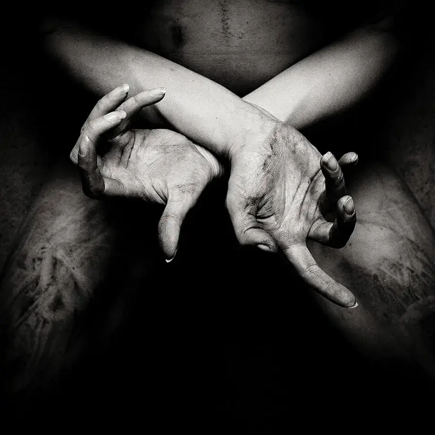 SHINING · X: Varg Utan Flock | DIGIPAK CD SHINING · X: Varg Utan Flock | DIGIPAK CD (Black Metal CDs)