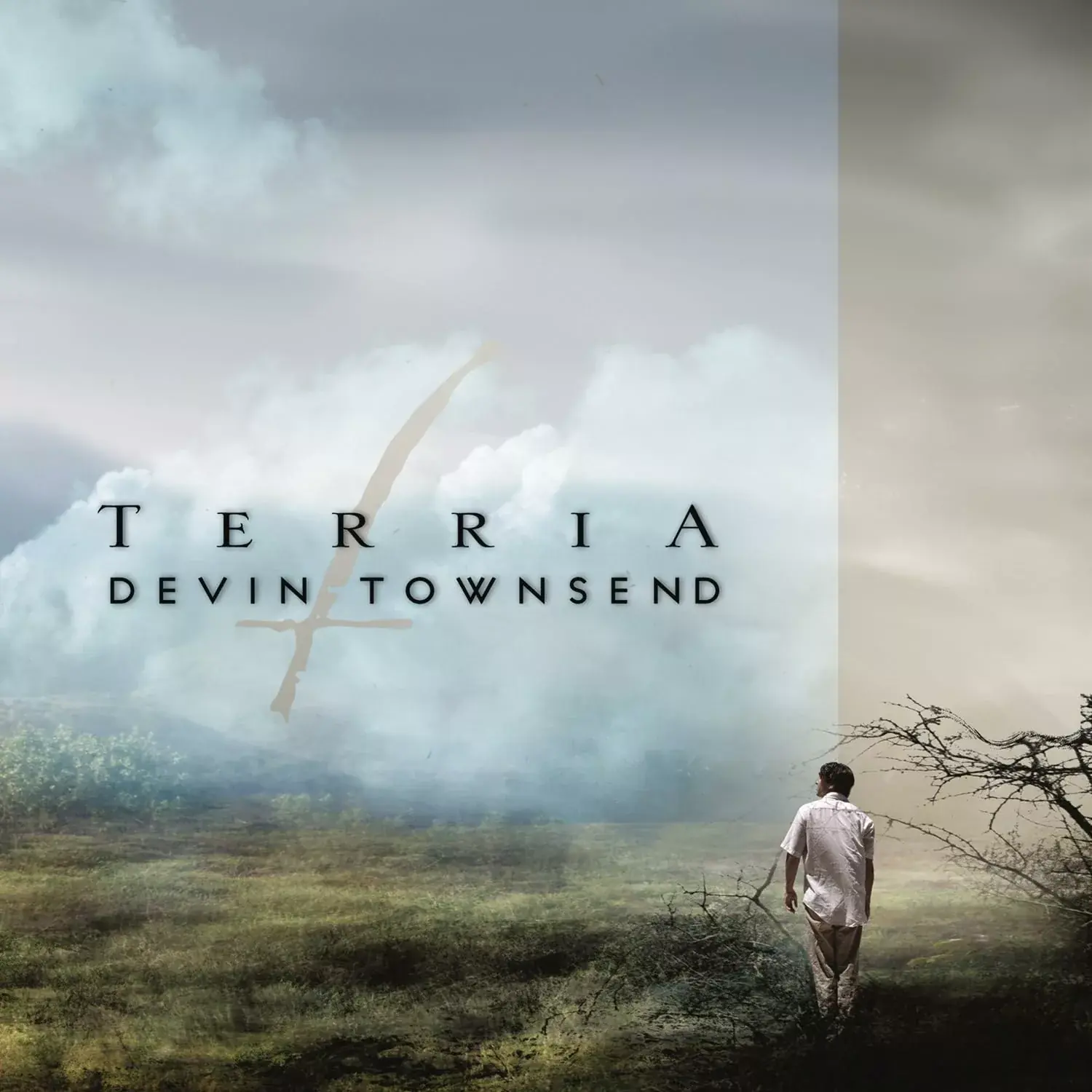DEVIN TOWNSEND - Terria · BLACK DLP 1