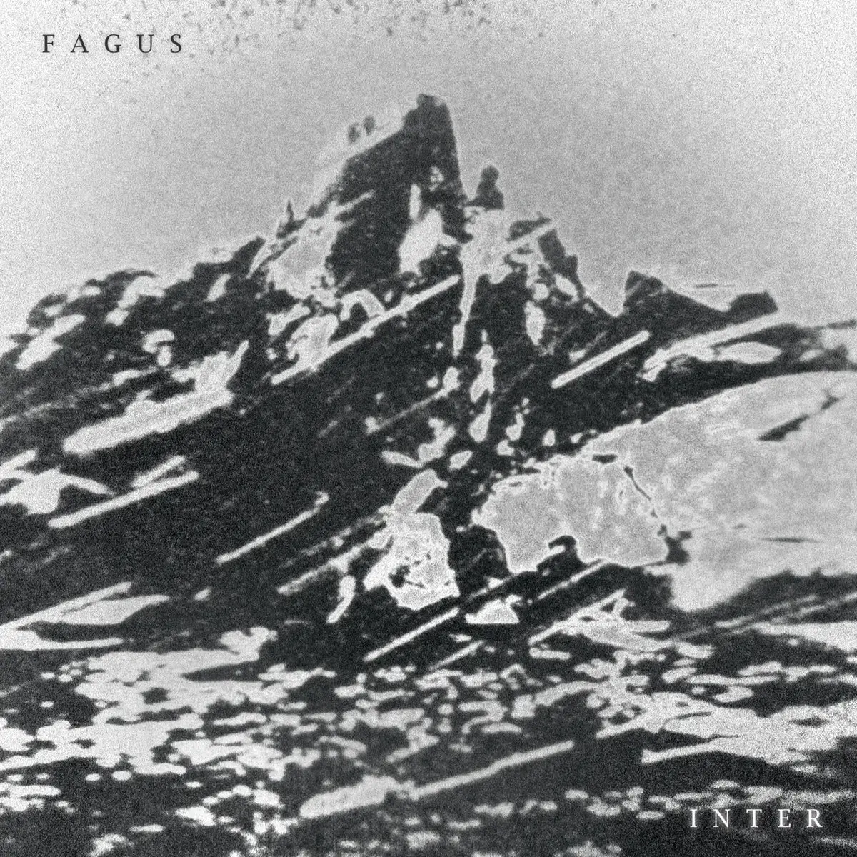 FAGUS - Inter · BLACK LP (Black Metal Vinyl) · Picture 1