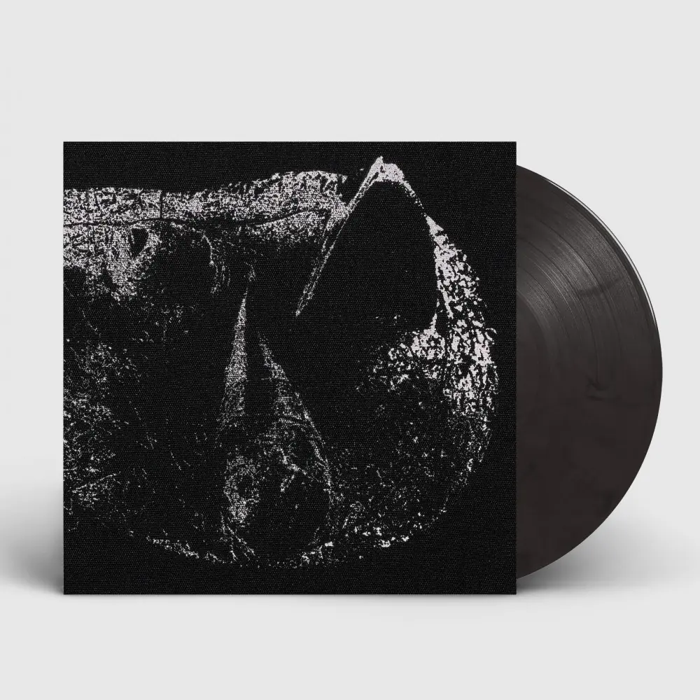 DEMON HEAD - Viscera · CLEAR ASH GREY LP (Hard Rock Vinyl)