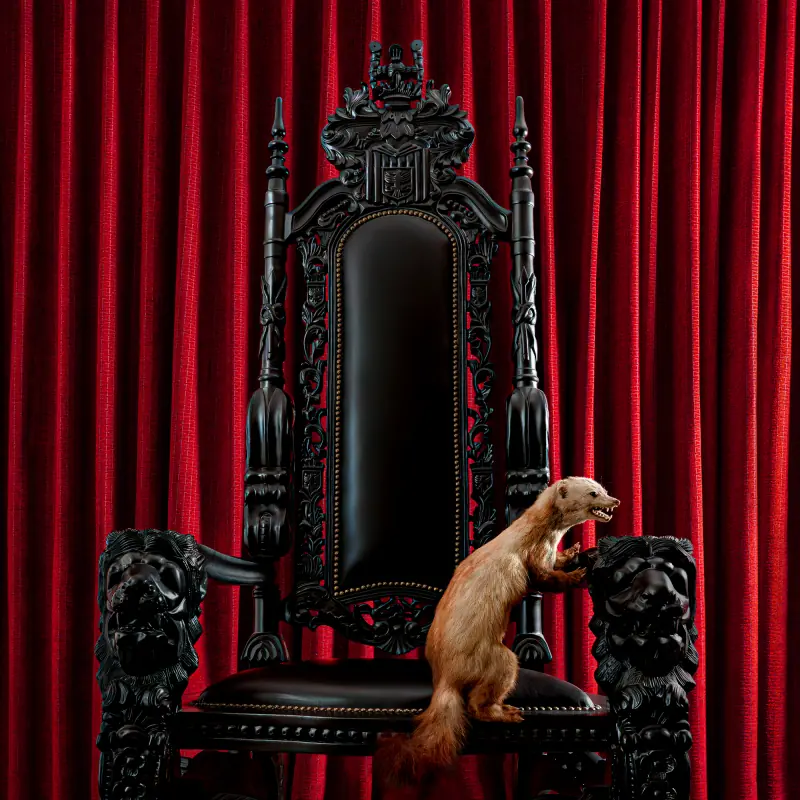 BRUME · Marten | TRANSPARENT RED LP (Heavy Rock Vinyl) · Picture 1