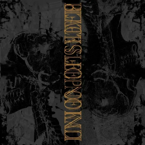 BLACK SLEEP OF KALI / UNION OF SLEEP - Split · BLACK LP 1