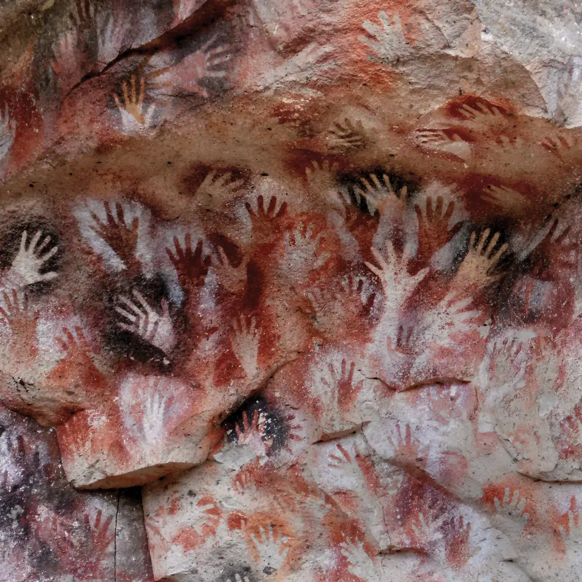 FAUNA - Ochre & Ash · OXBLOOD 2LP (Black Metal Vinyl) · Picture 1