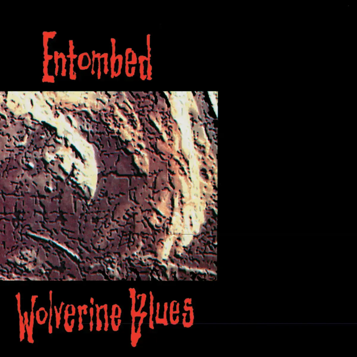 ENTOMBED - Wolverine Blues (FDR) · DIGIPAK CD