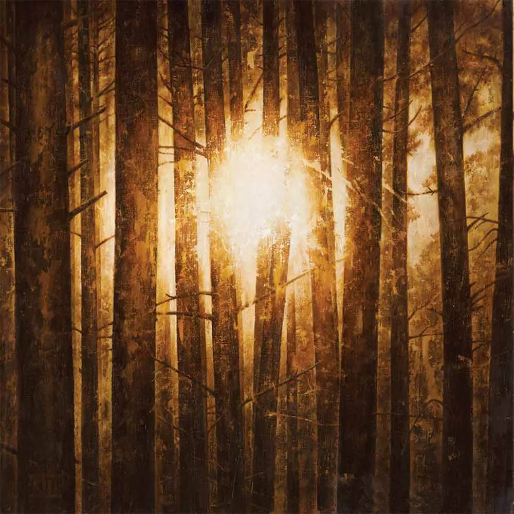 IN MOURNING - Echoes · SILVER 3LP (Melodic Death Metal Vinyl) · Picture 1