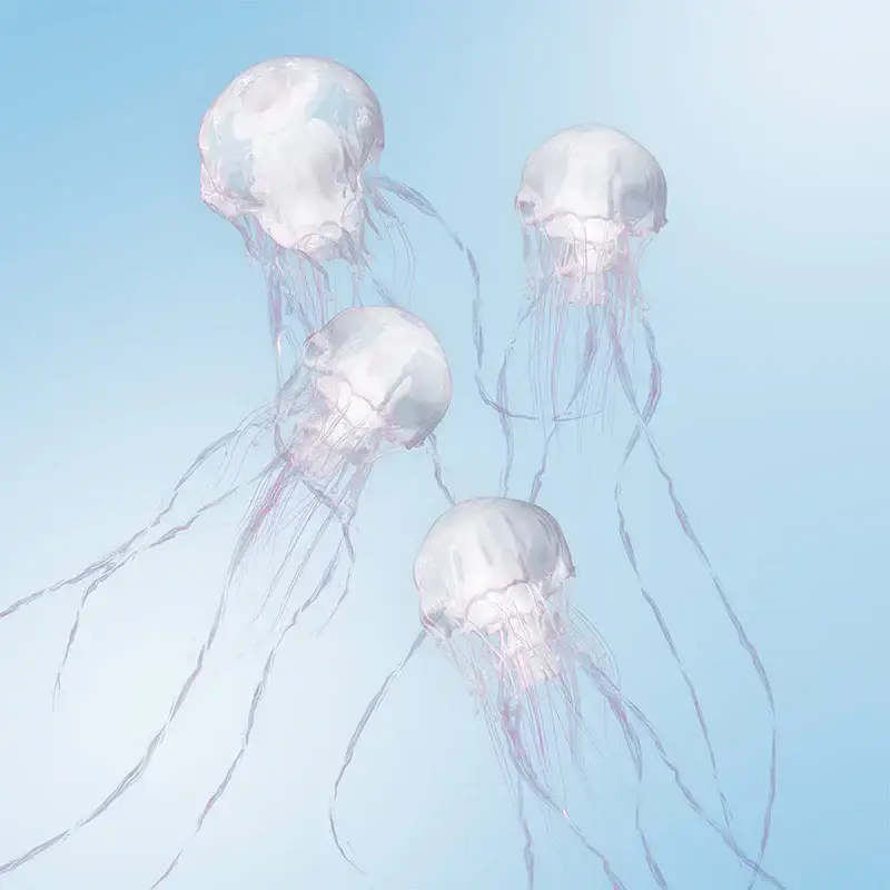 SCANDAL · Luminous | CD (J-Rock CDs)