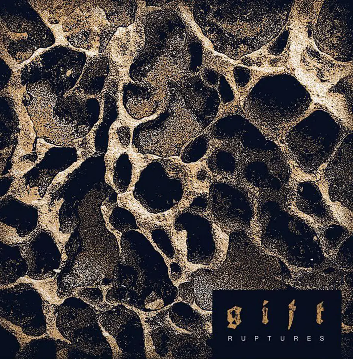 GIFT · Ruptures | BLACK LP (Hardcore Punk Vinyl) · Picture 1
