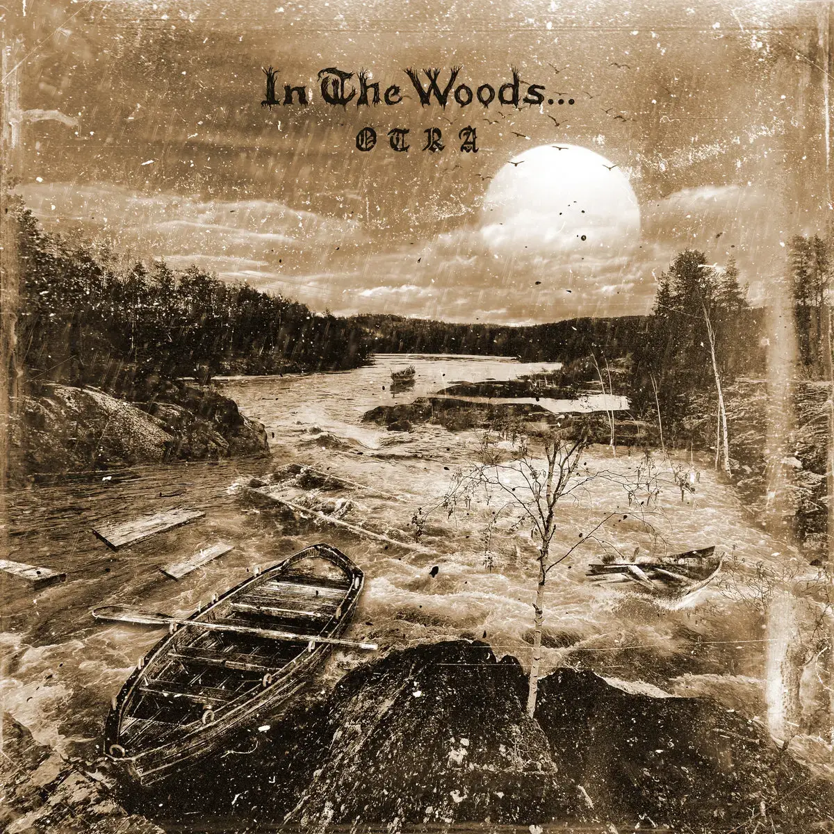 IN THE WOODS... - Otra · CLEAR/BLACK LP (Black Metal/Progressive Metal Vinyl) · Picture 1