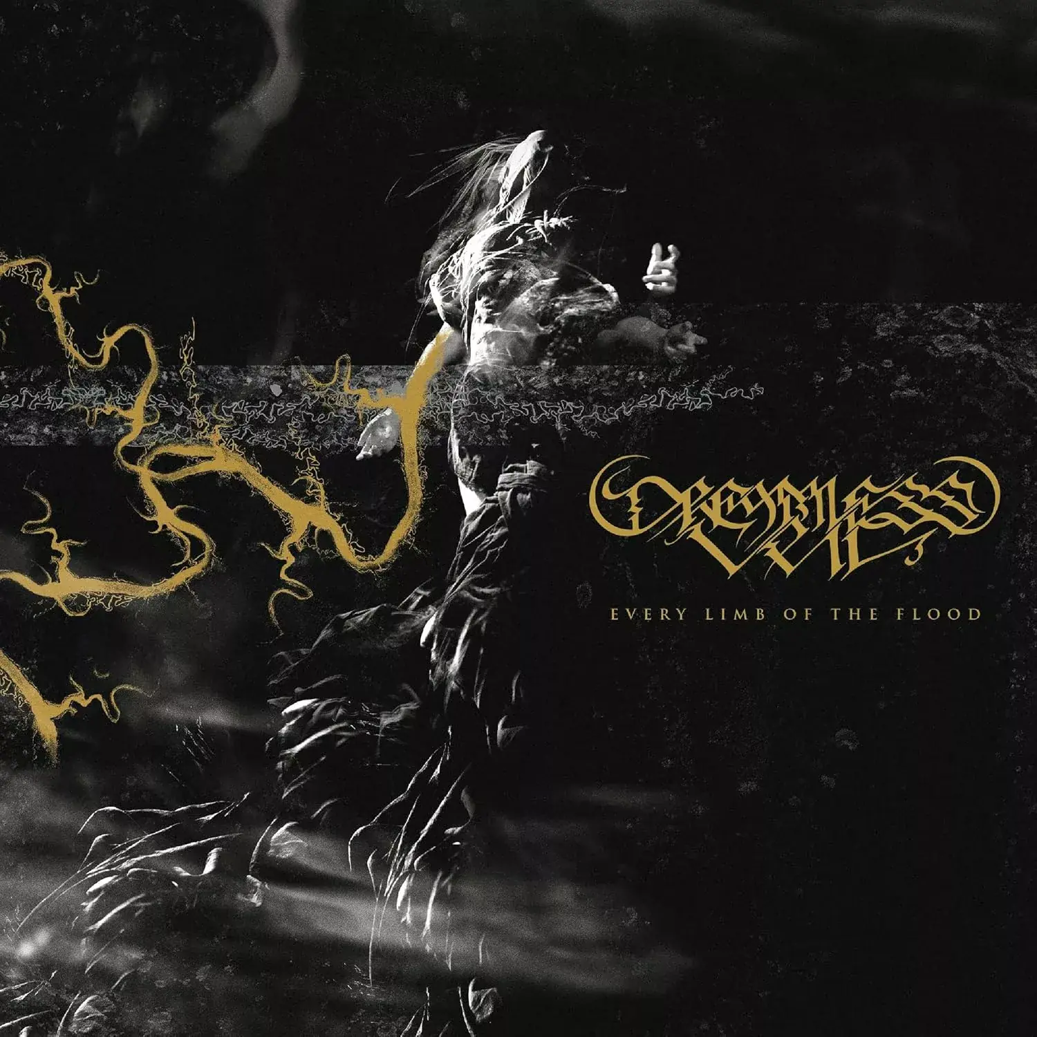DREAMLESS VEIL - Every Limb of the Flood · CD