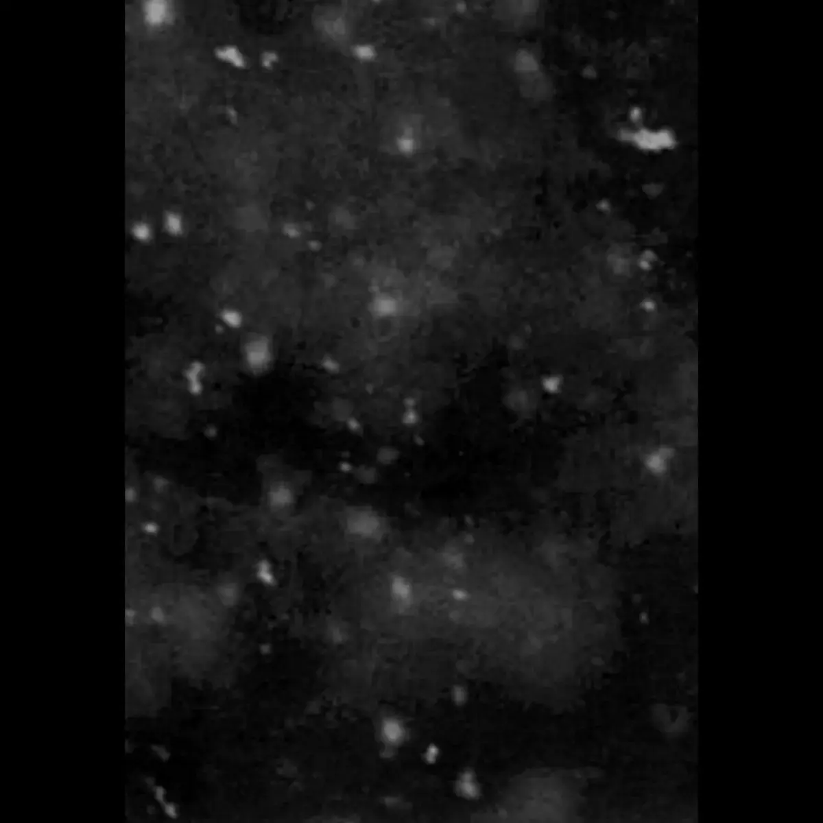 PAYSAGE D'HIVER · Einsamkeit | A5 DIGIBOOK CD (Ambient CDs)