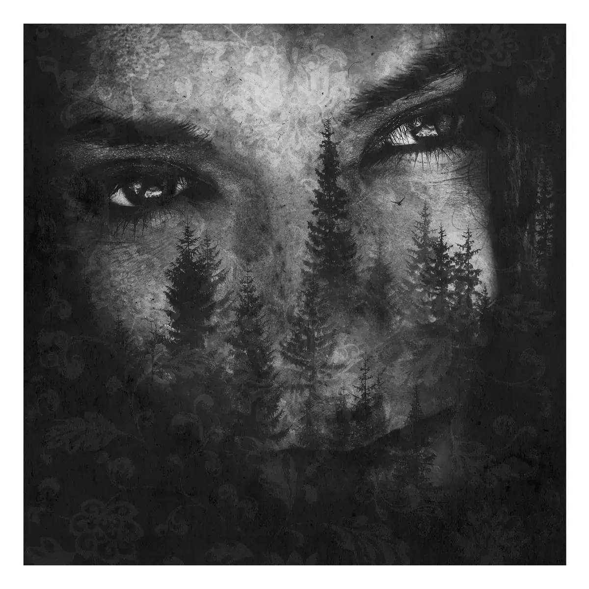 LUSTRE · The Ashes Of Light | CD (Black Metal CDs)