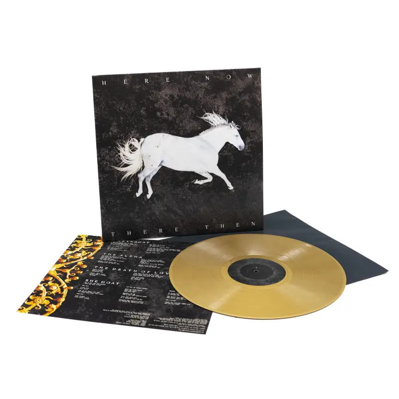 DOOL - Here Now, There Then · GOLD LP (Dark Rock/Gothic Rock Vinyl) · Bild 2