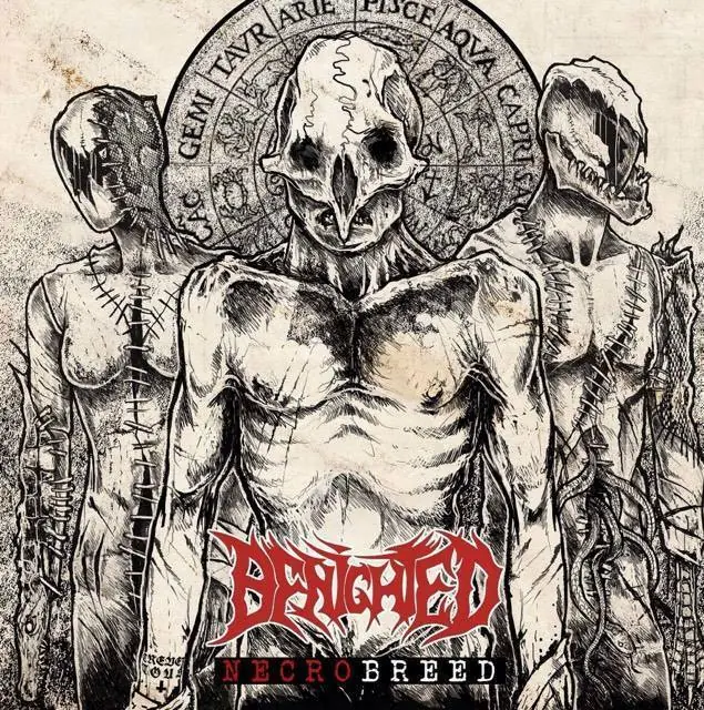 BENIGHTED · Necrobreed | WHITE LP · Picture 1 BENIGHTED · Necrobreed | WHITE LP (Death Metal Vinyl) · Picture 1