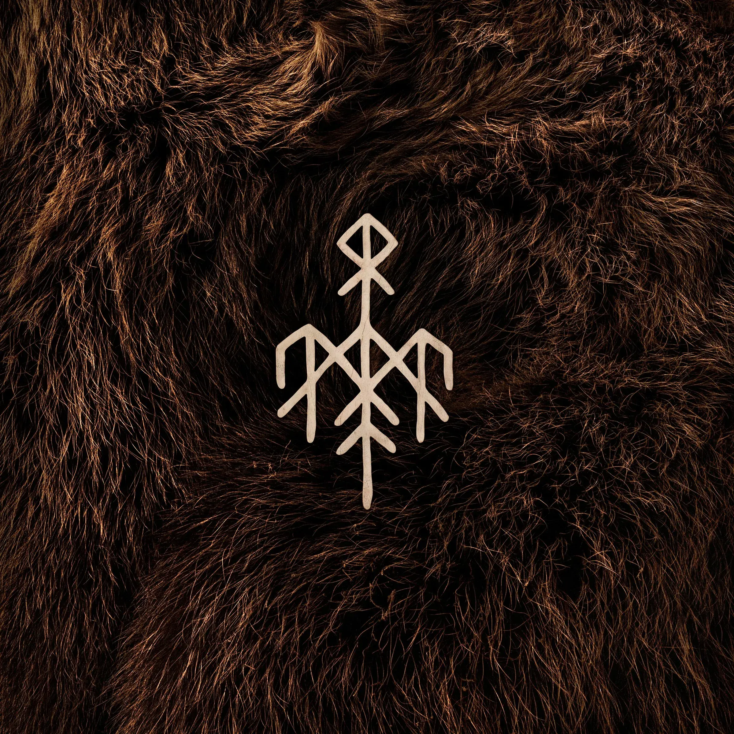 WARDRUNA - Birna · BLACK 2LP 1