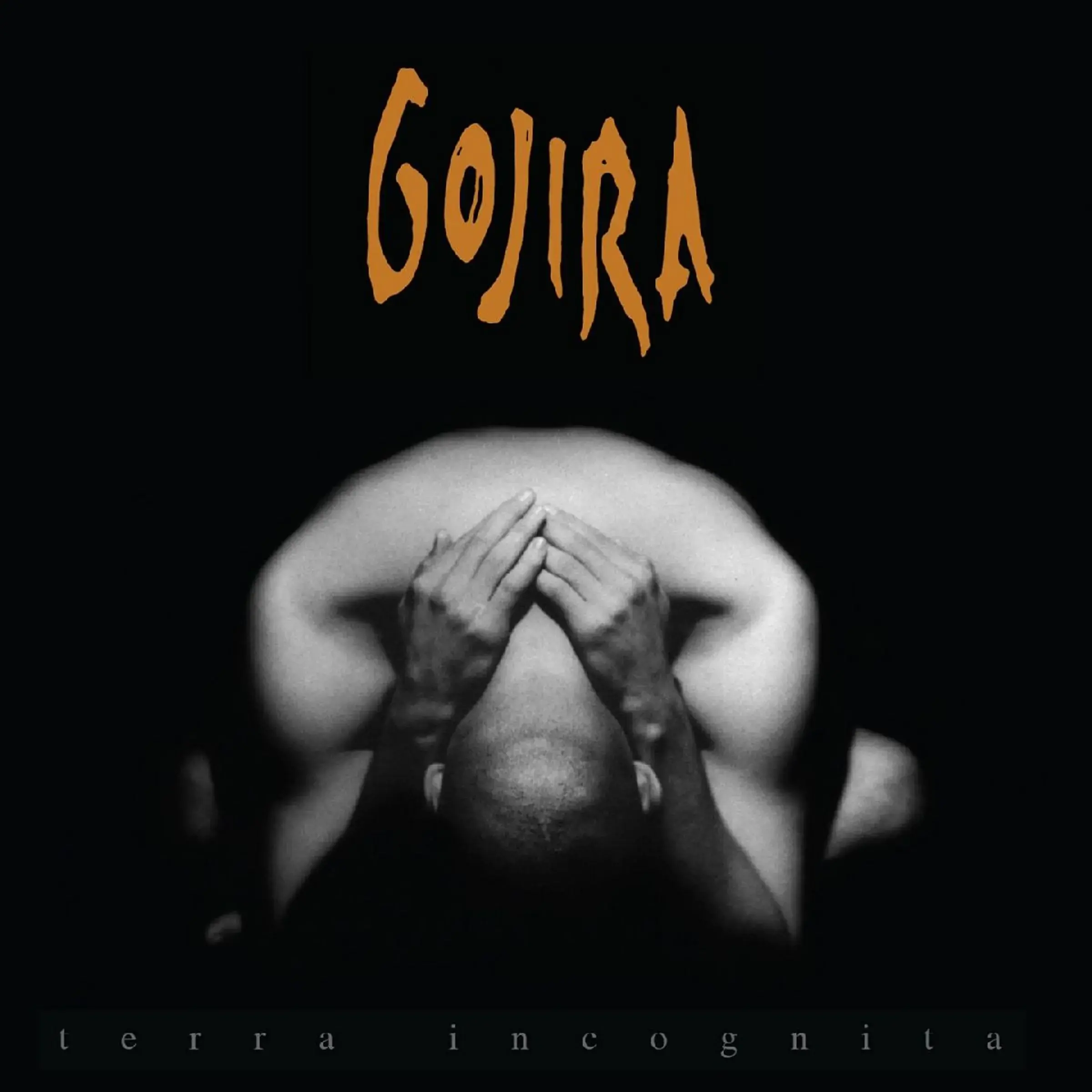 GOJIRA - Terra Incognita · SILVER/BLACK MARBLED 2LP · Picture 1 GOJIRA - Terra Incognita · SILVER/BLACK MARBLED 2LP (Death Metal/Progressive Metal Vinyl) · Picture 1