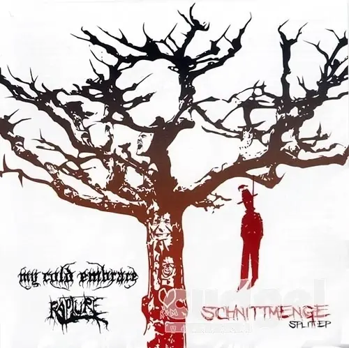 MY COLD EMBRACE / RAPTURE - Schnittmenge Split · CD