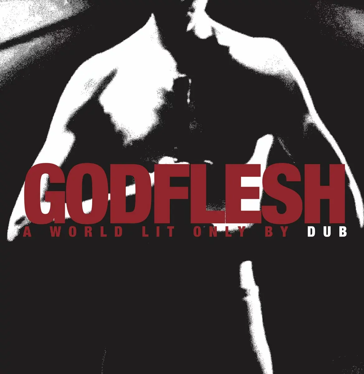 GODFLESH · A World Lit Only By Dub | BLACK LP · Picture 1 GODFLESH · A World Lit Only By Dub | BLACK LP (Industrial Metal Vinyl) · Picture 1