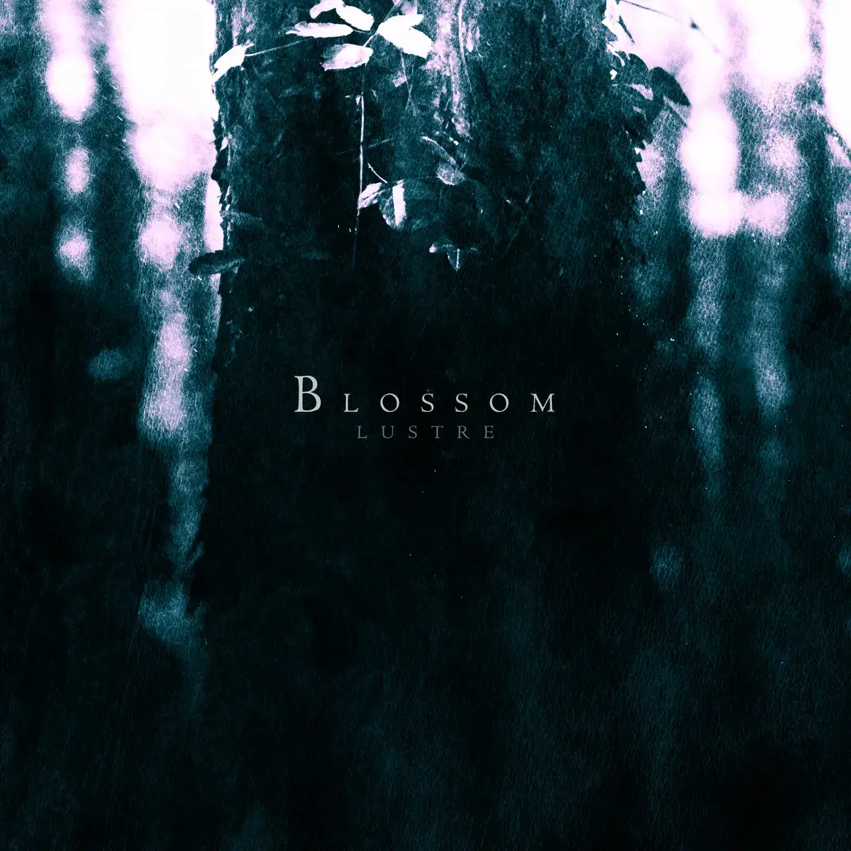 LUSTRE - Blossom · DIGIPAK CD (Black Metal/Ambient CDs)