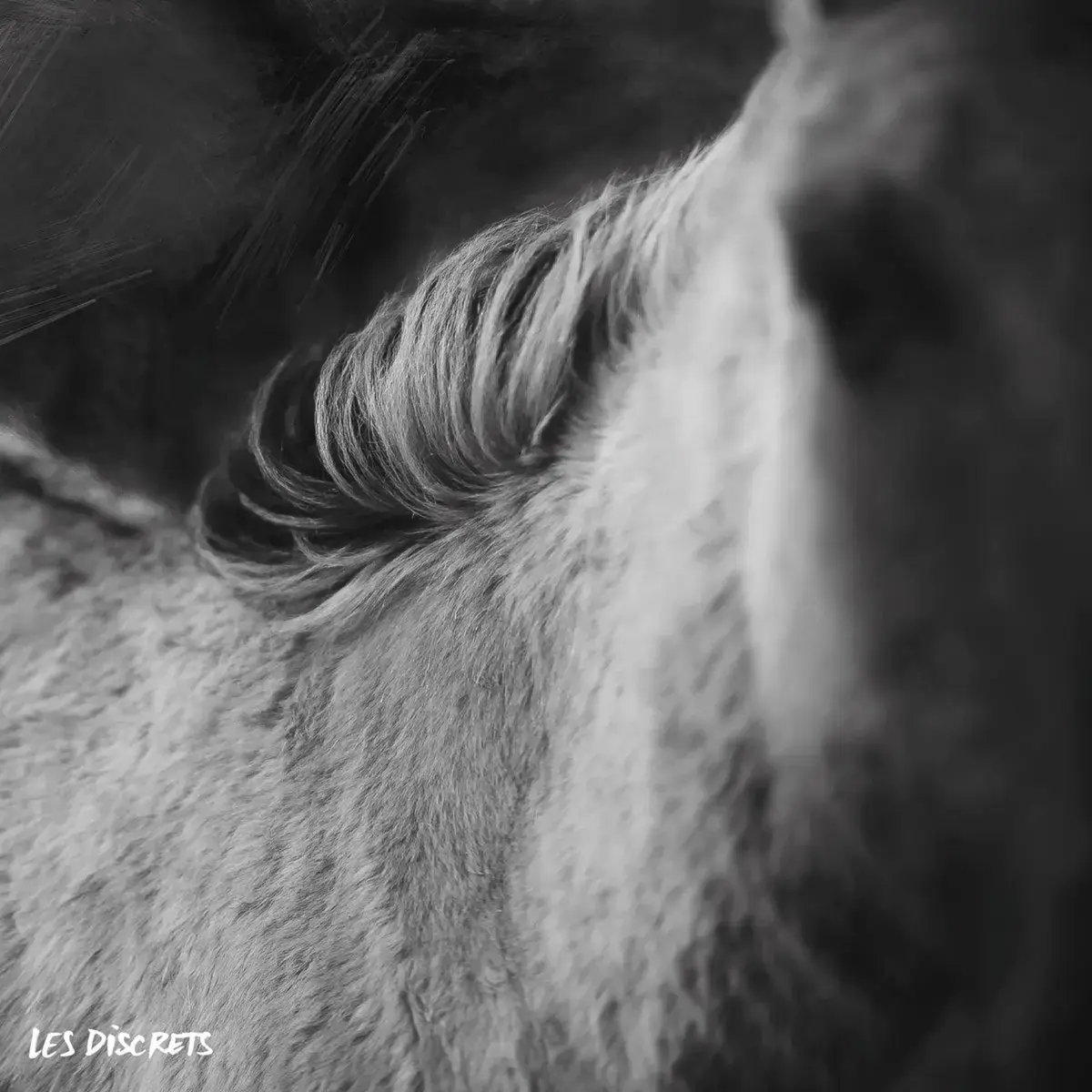 LES DISCRETS · Rue Octavio Mey / Fleur des Murailles | BLACK LP · Picture 1 LES DISCRETS · Rue Octavio Mey / Fleur des Murailles | BLACK LP (Progressive Rock Vinyl) · Picture 1