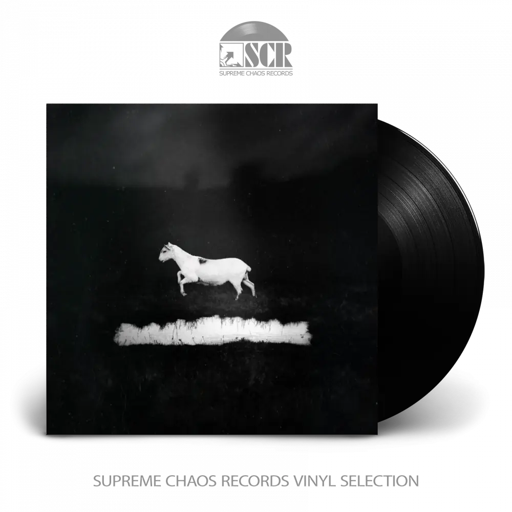 LES DISCRETS · Prédateurs | BLACK LP (Progressive Rock Vinyl)