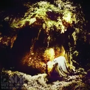 WOLVES IN THE THRONE ROOM - Celestial Lineage · DIGI (Black Metal CDs)