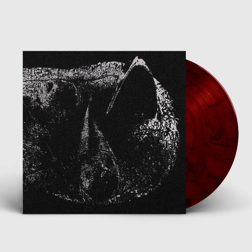 DEMON HEAD - Viscera · RED BLACK LP