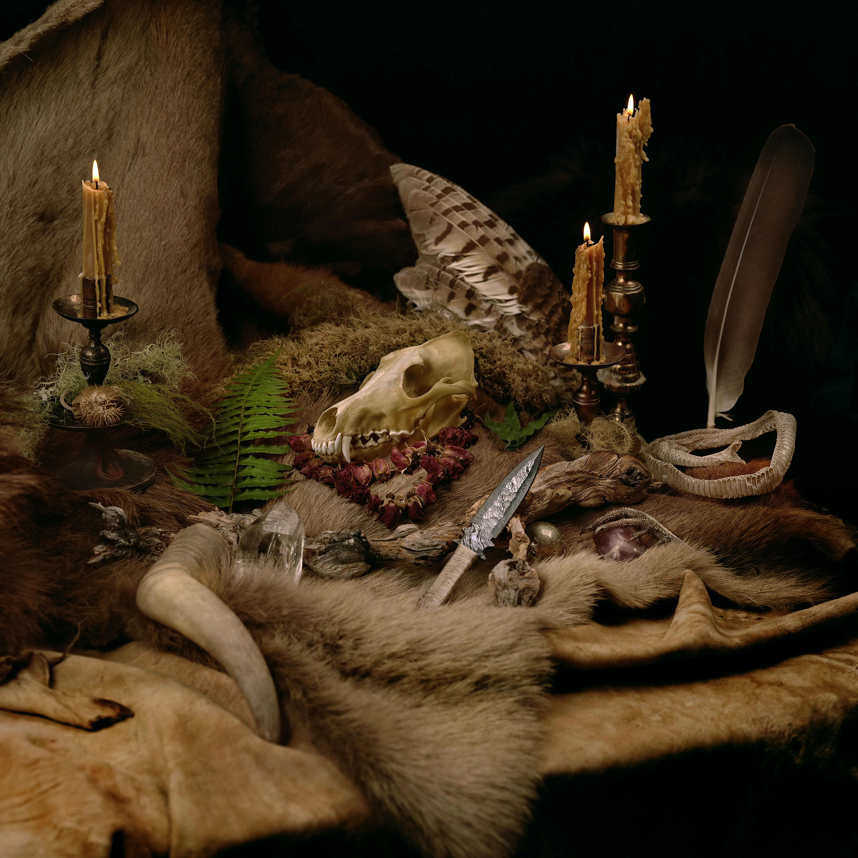 WOLVES IN THE THRONE ROOM - Primordial Arcana · MOSS GREEN 2LP (Black Metal Vinyl) · Bild 1