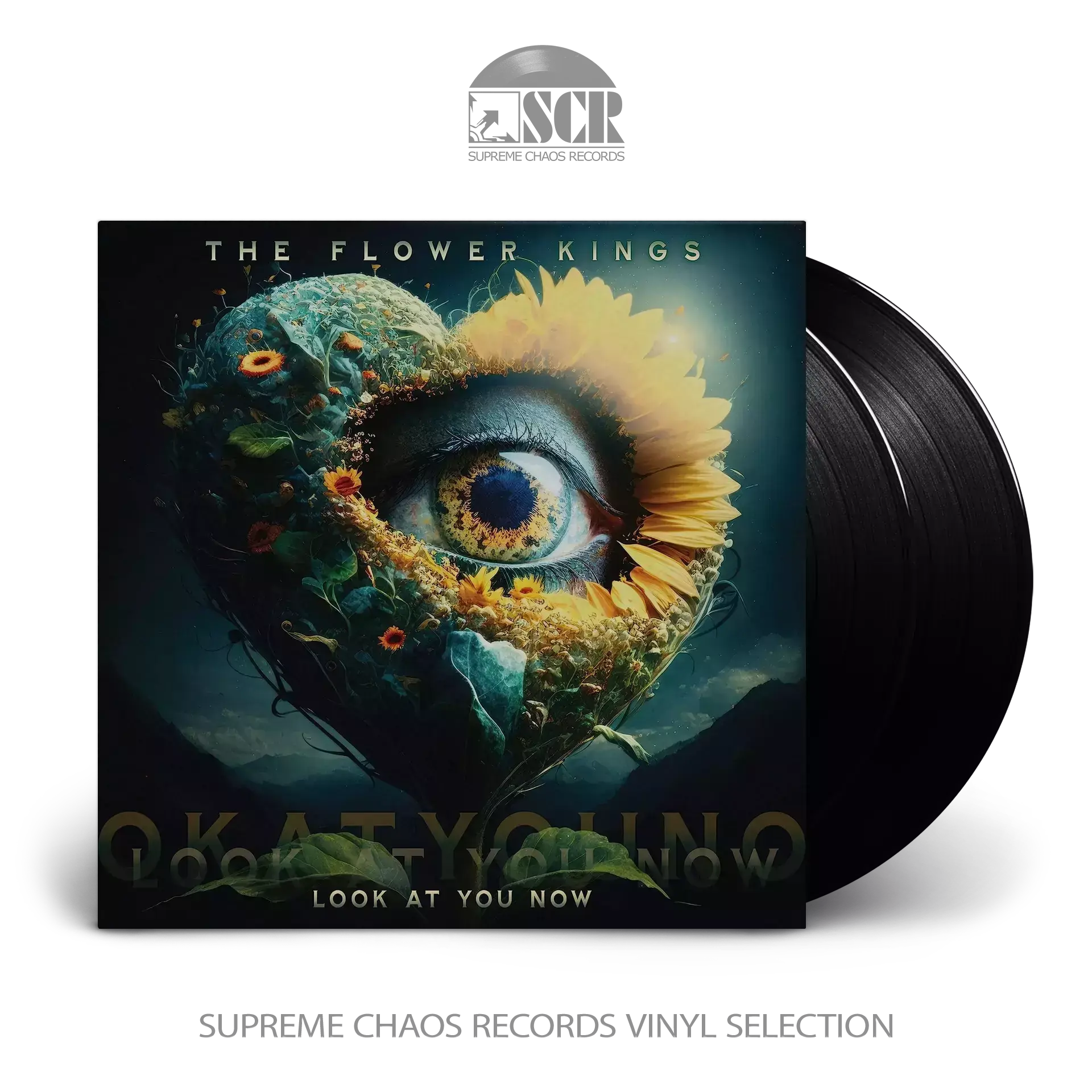 THE FLOWER KINGS · Look At You Now | BLACK 2LP (Progressive Rock Vinyl)