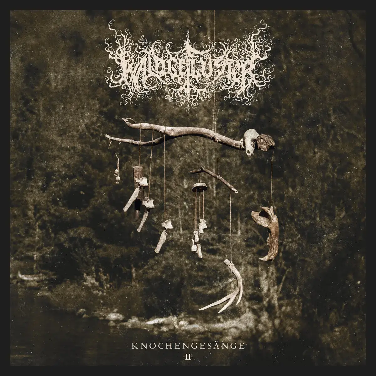 WALDGEFLÜSTER · Knochengesänge II | BLACK 2LP (Black Metal Vinyl) · Picture 1