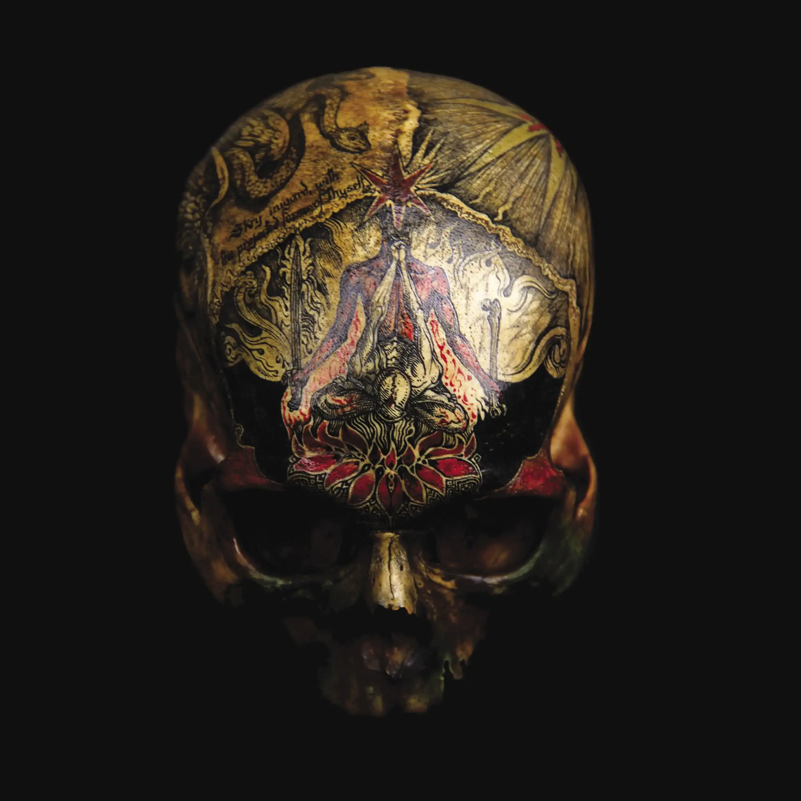 BLIGHT · Temple Of Wounds | RED 2LP (Black Metal Vinyl) · Picture 1